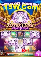 Recursos de Bônus 2933Bet